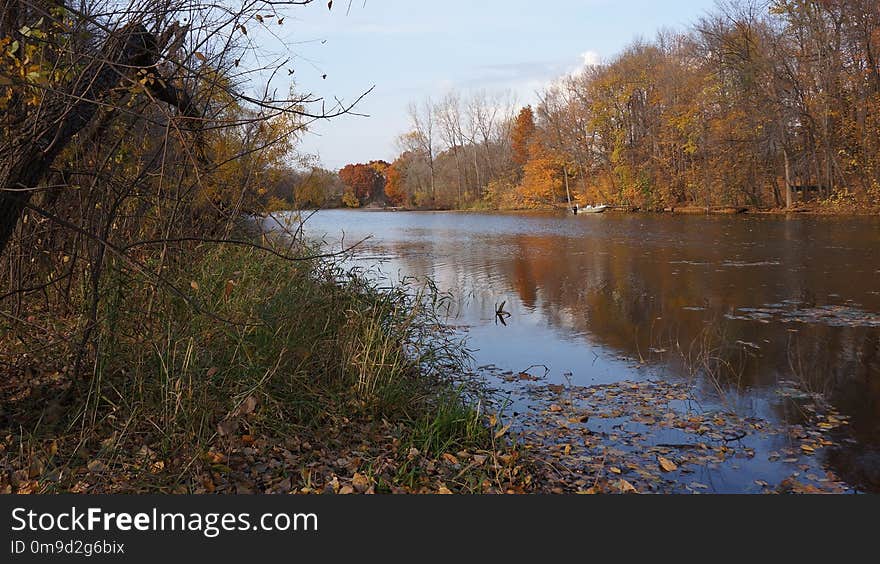 Water, Reflection, Nature, Waterway