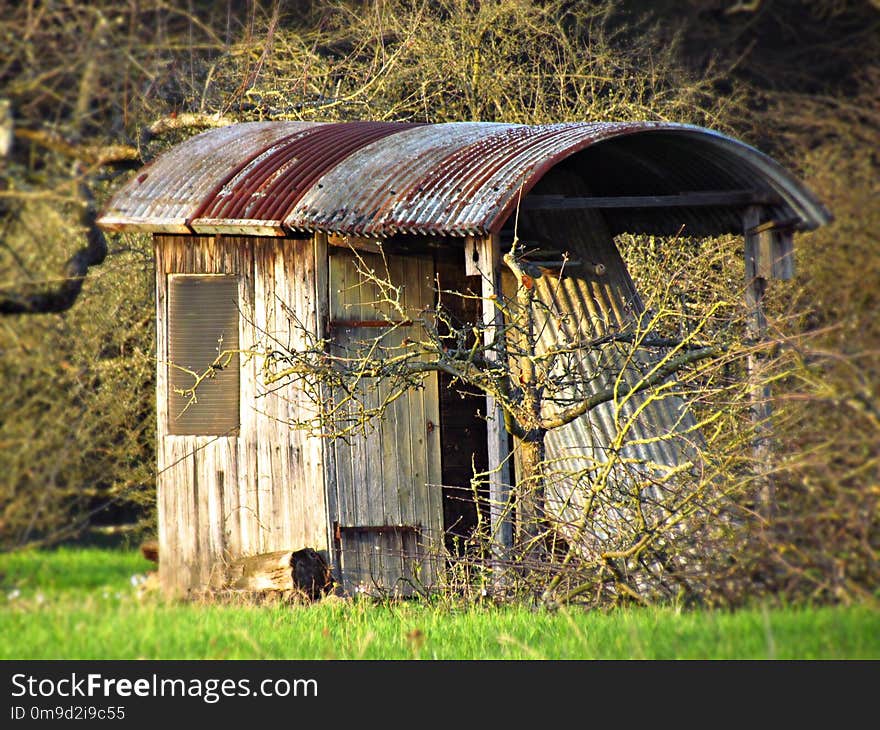 House, Grass, Shack, Shed