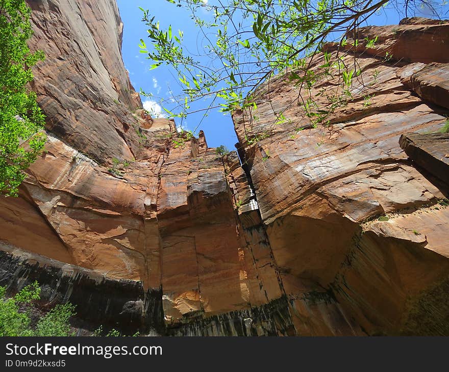 Rock, Tree, Bedrock, Formation