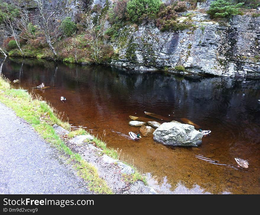 Body Of Water, Water, Stream, Water Resources