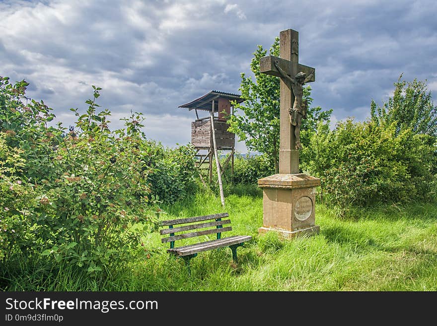 Nature Reserve, Grass, Tree, Sky