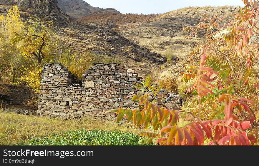 Leaf, Autumn, Rock, Tree