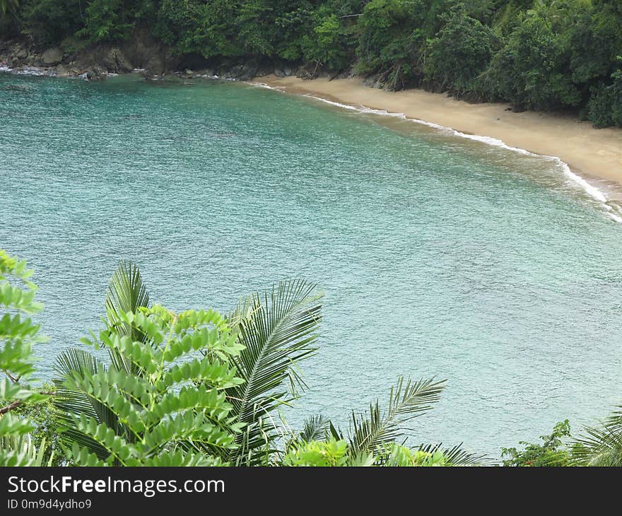 Body Of Water, Vegetation, Nature Reserve, Coastal And Oceanic Landforms