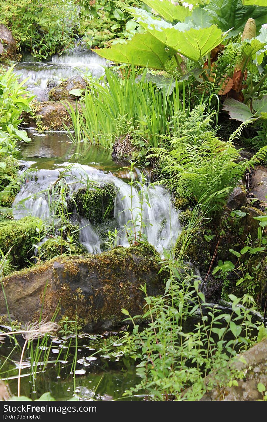 Vegetation, Water, Body Of Water, Nature Reserve