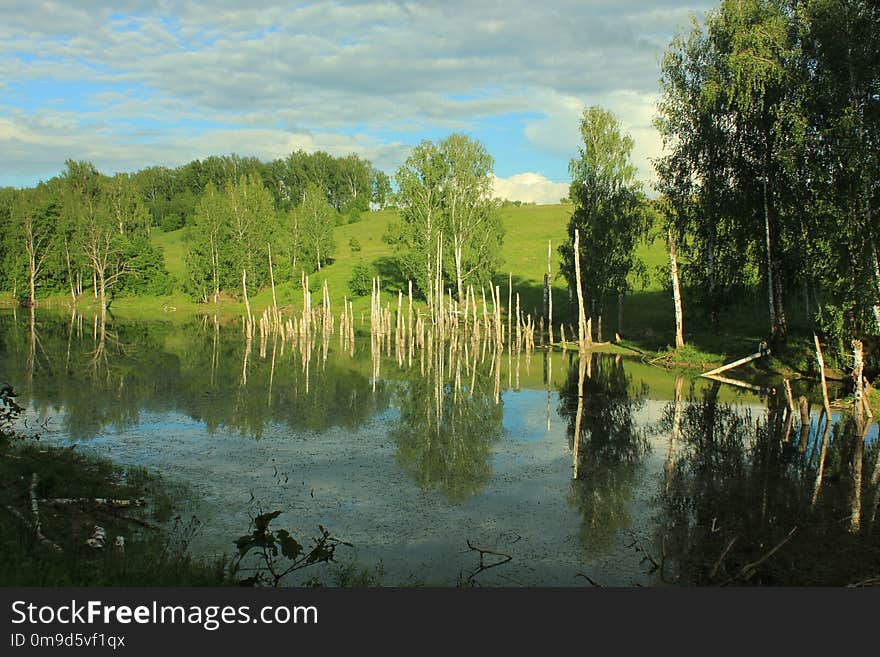 Reflection, Water, Nature, Nature Reserve