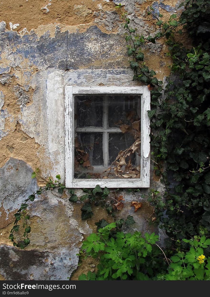 Window, Wall, Ruins, House