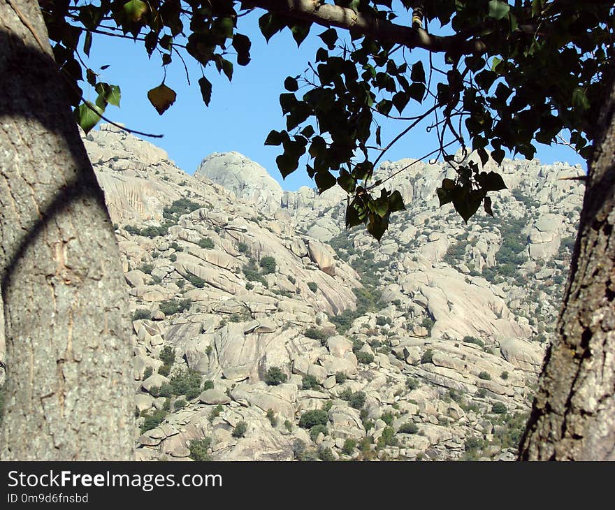 Rock, Tree, Sky, Outcrop