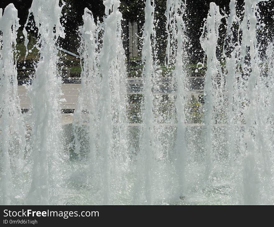 Water, Water Feature, Tree, Water Resources