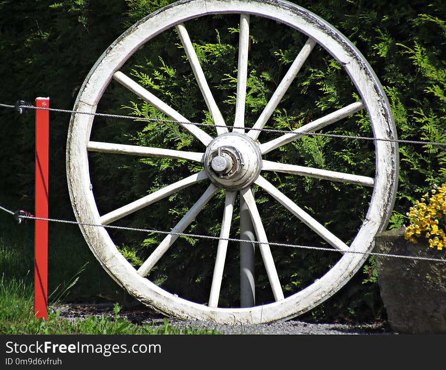 Wheel, Motor Vehicle, Spoke, Bicycle Wheel