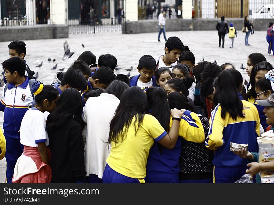 Crowd, Team, High School, Public Event