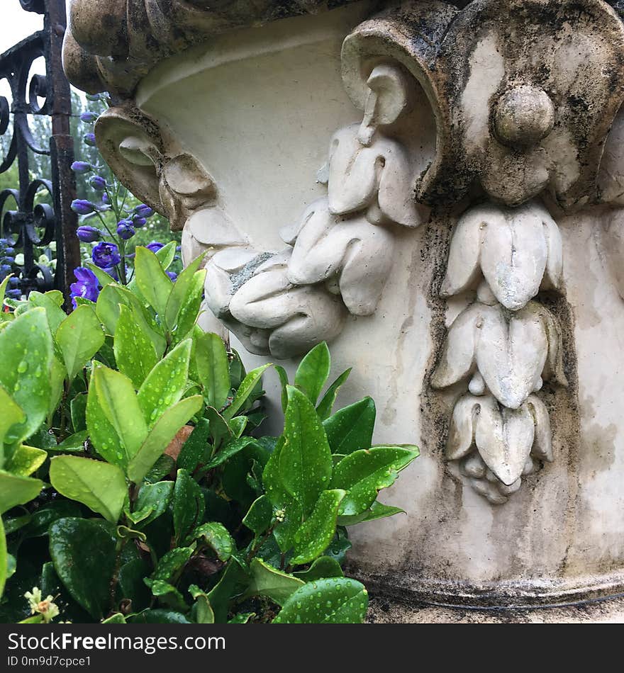 Sculpture, Stone Carving, Plant, Statue