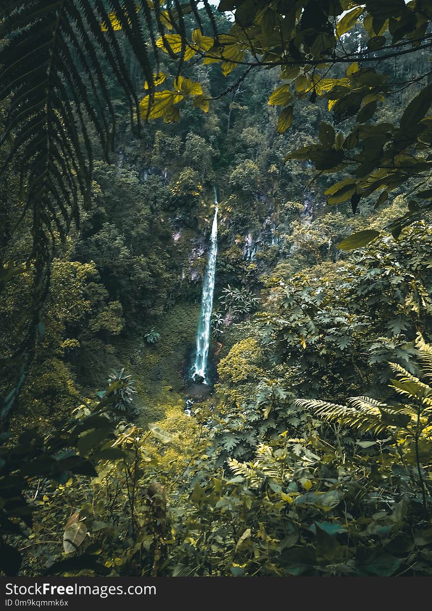 Watu Ondo Waterfall