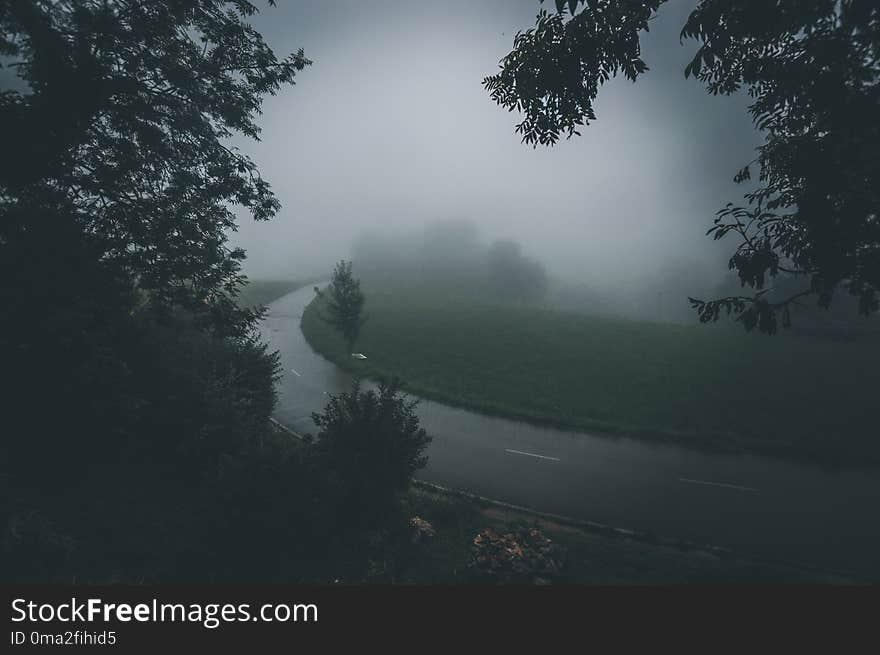 An asphalt road that goes through a misty dark misterious forest