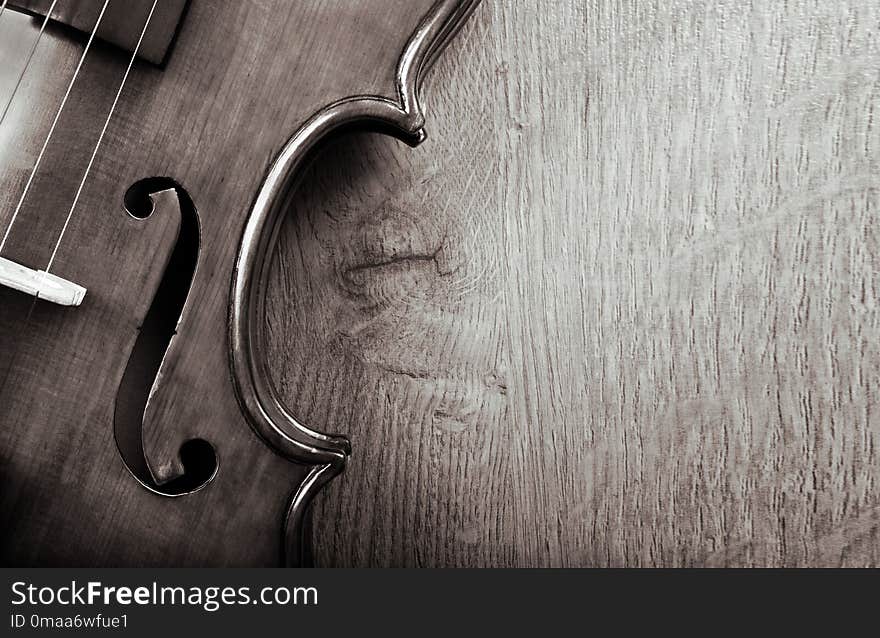 Violin on a wooden background. black and white. copy spaces.