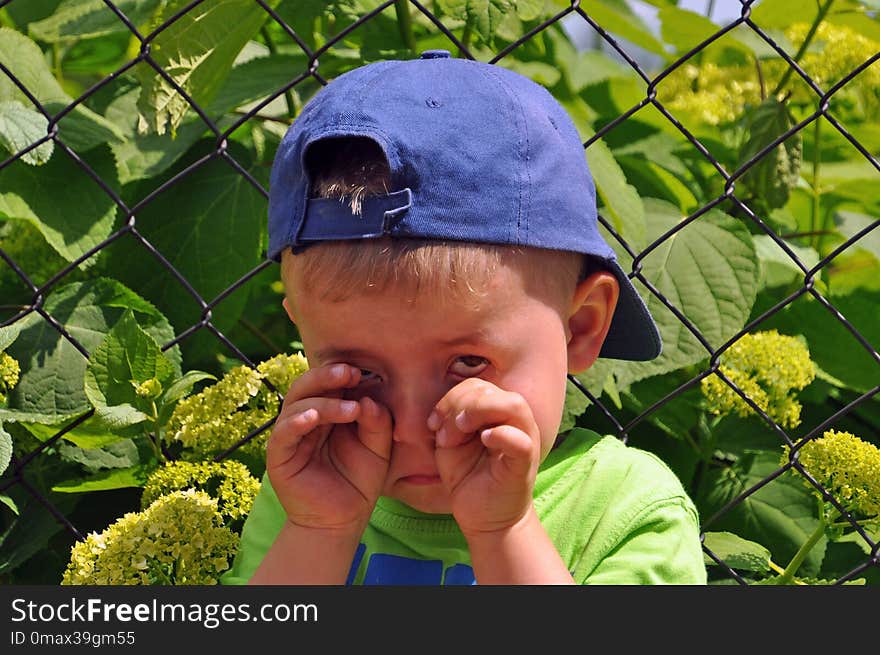 Plant, Leaf, Child, Grass