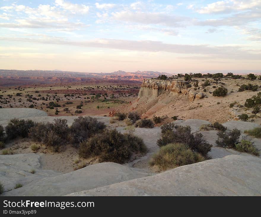 Badlands, Ecosystem, Wilderness, Shrubland