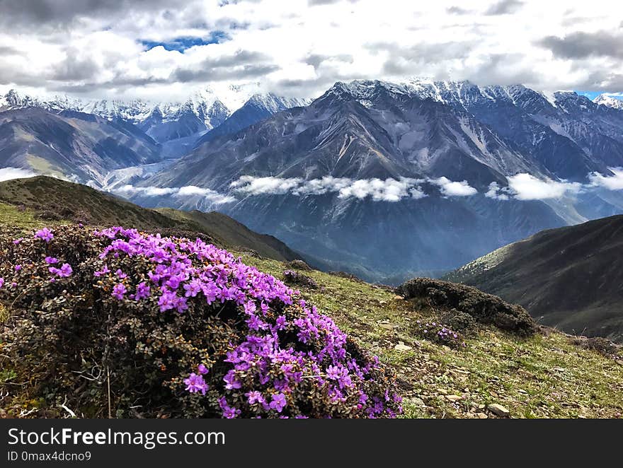 Mountainous Landforms, Mountain, Wilderness, Mount Scenery