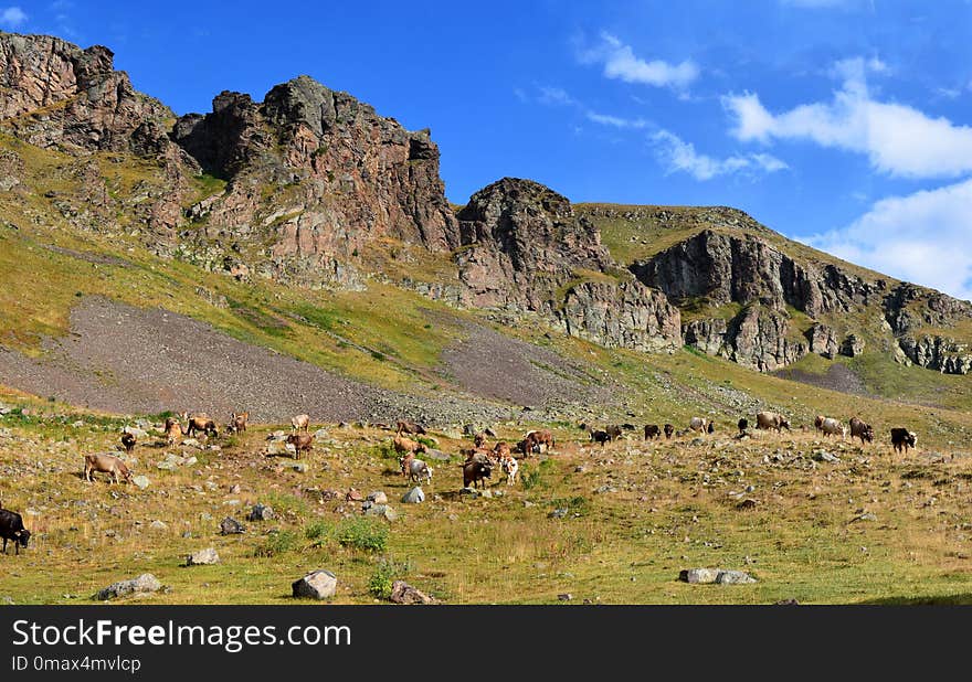 Mountain, Mountainous Landforms, Wilderness, Ecosystem