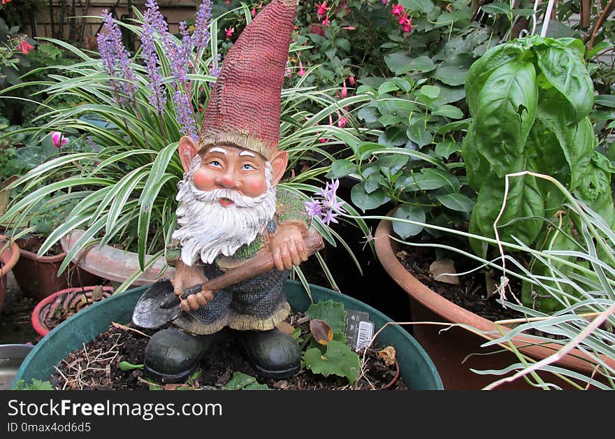 Garden Gnome, Lawn Ornament, Plant, Statue