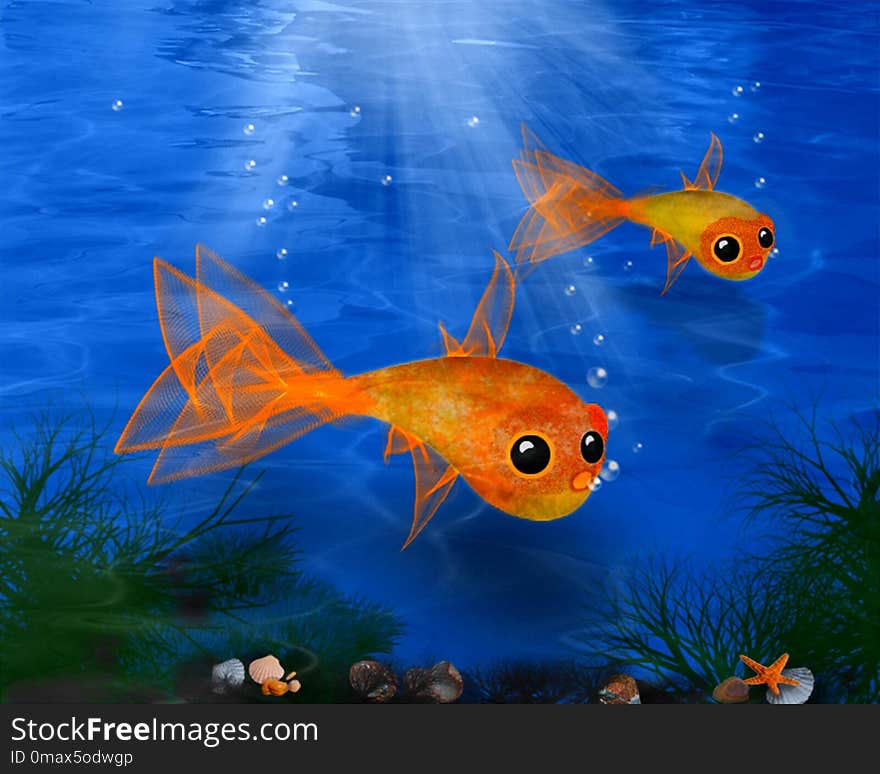 Fish, Marine Biology, Ecosystem, Goldfish