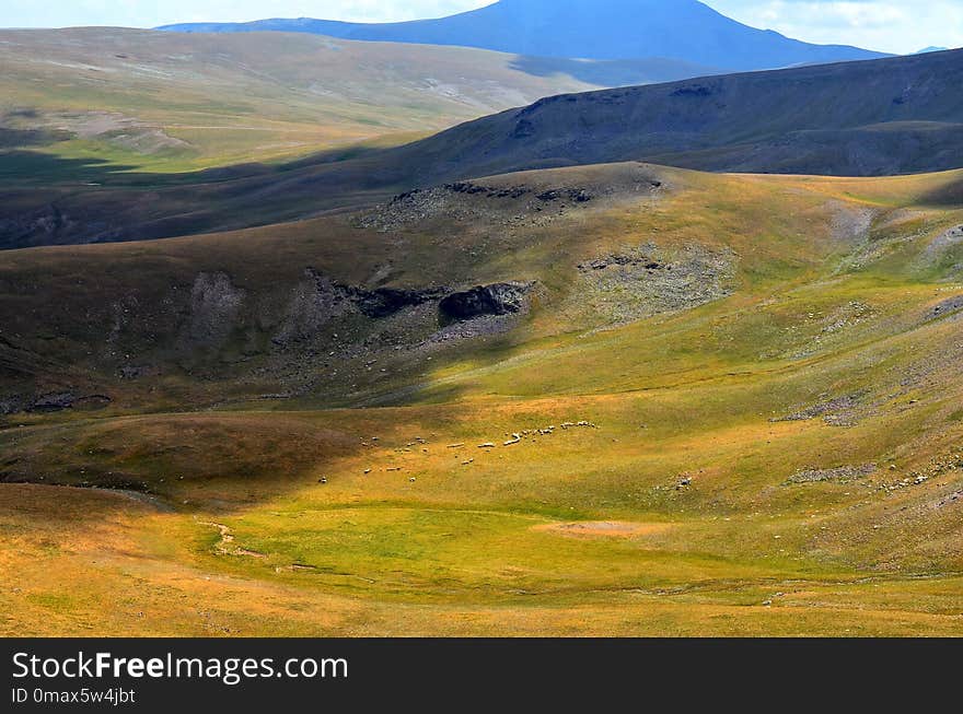 Highland, Grassland, Ecosystem, Hill