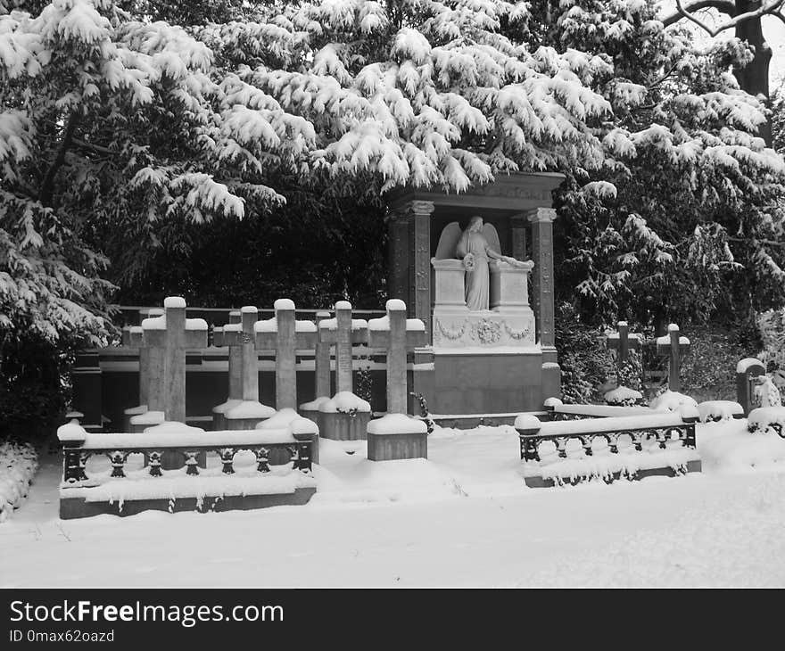 Snow, Winter, Black And White, Tree