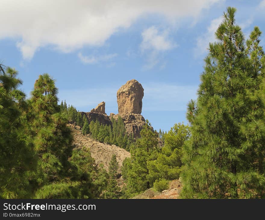 Sky, Nature Reserve, Vegetation, Rock