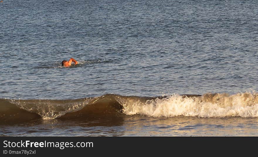 Wave, Sea, Water, Wind Wave