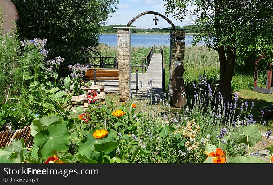 Garden, Flower, Plant, Flora