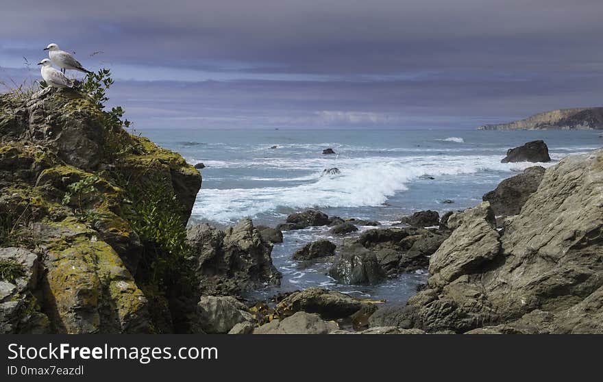 Coast, Sea, Coastal And Oceanic Landforms, Shore