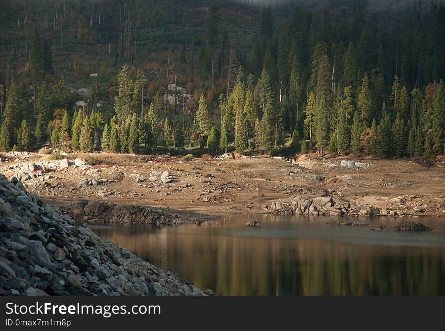 Nature, Wilderness, Reflection, Water