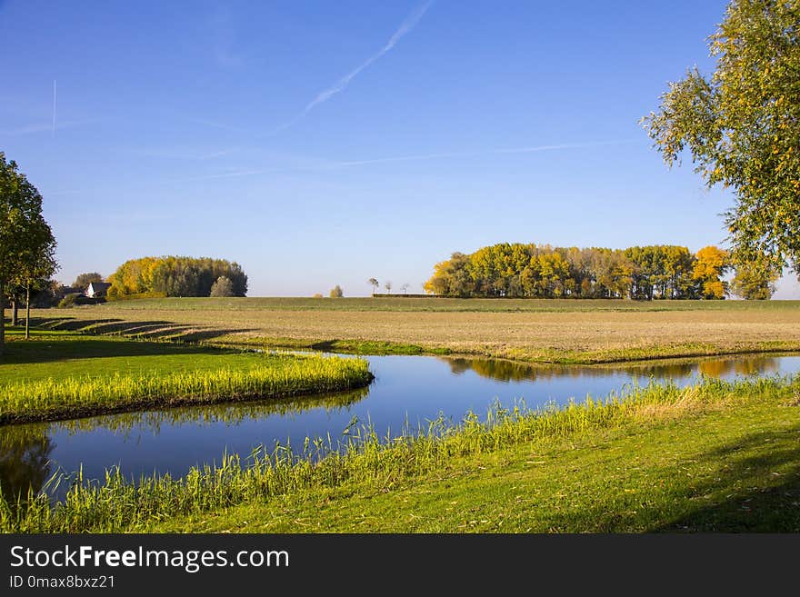 Nature, Reflection, Water, Nature Reserve