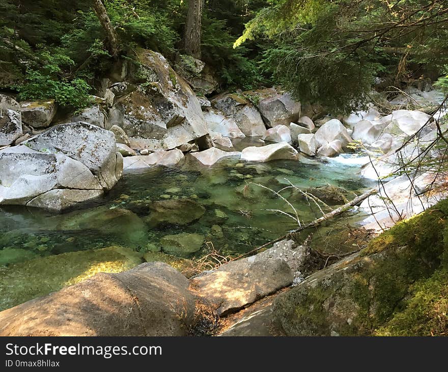 Water, Stream, Nature, Nature Reserve