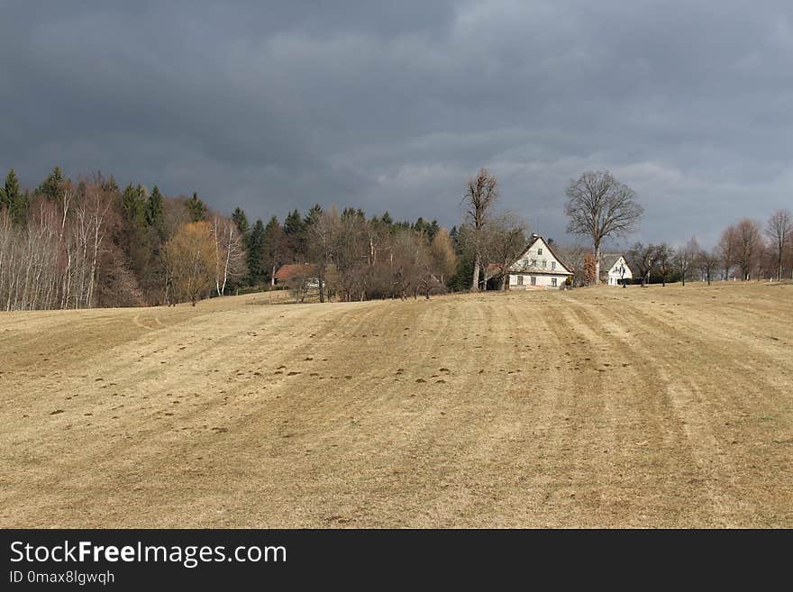 Field, Sky, Road, Tree