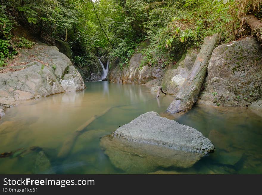 Water, Stream, Water Resources, Nature