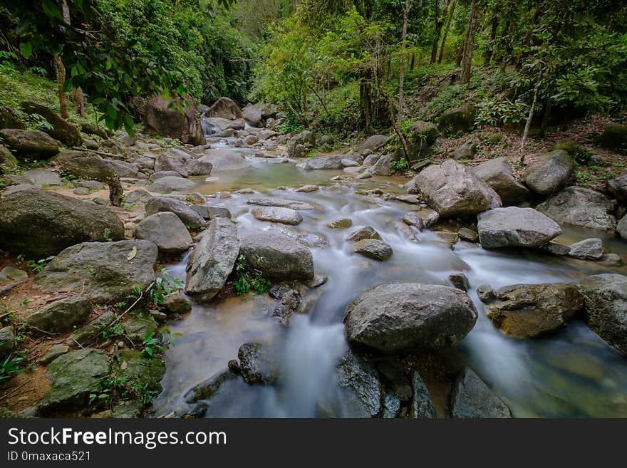 Stream, Water, Nature, Body Of Water