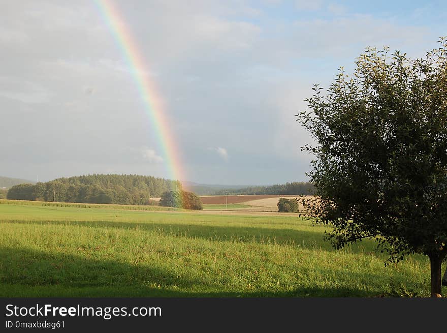 Rainbow, Field, Sky, Grassland