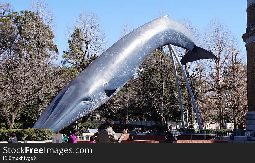 Tree, Tourist Attraction, Plant, Sculpture