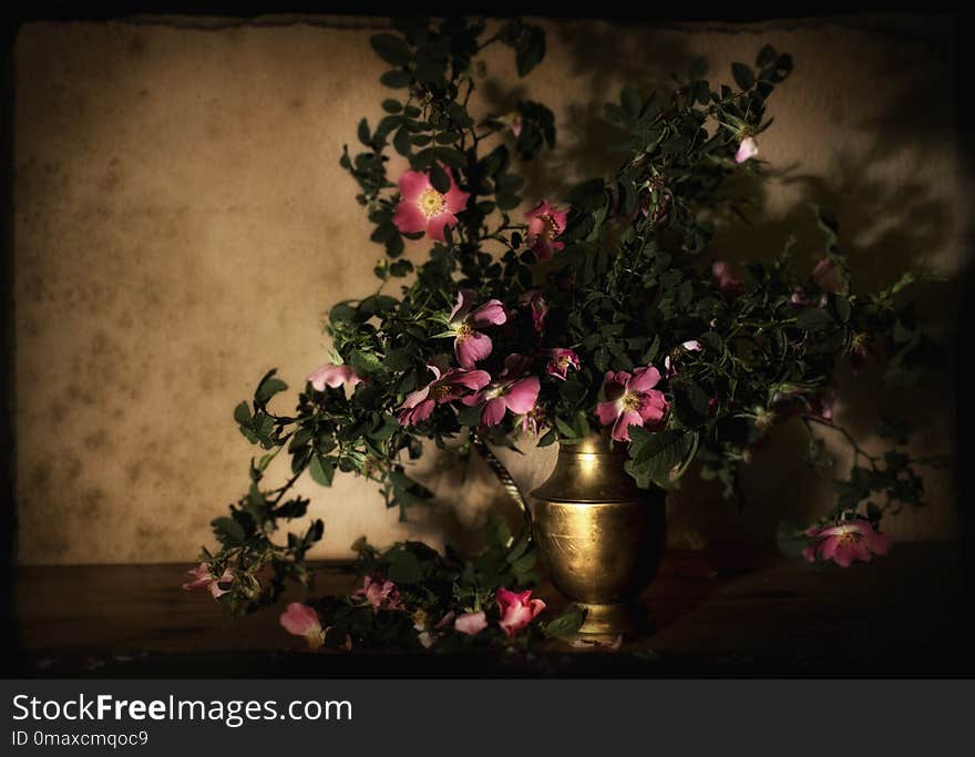 Still Life, Still Life Photography, Flora, Painting