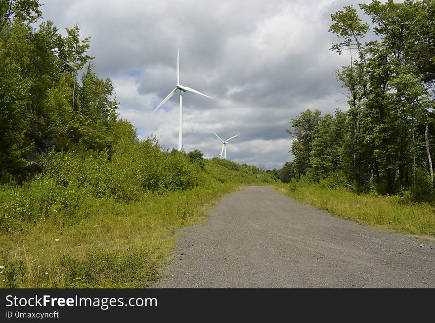 Road, Path, Sky, Nature Reserve