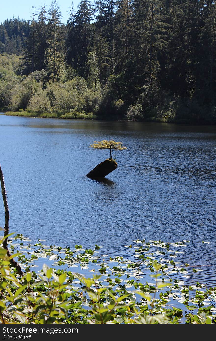 Water, Nature, Body Of Water, Lake