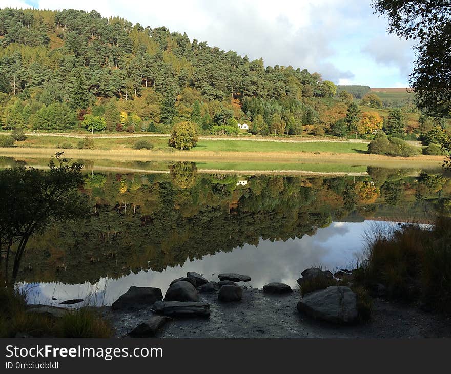 Nature, Reflection, Nature Reserve, Water