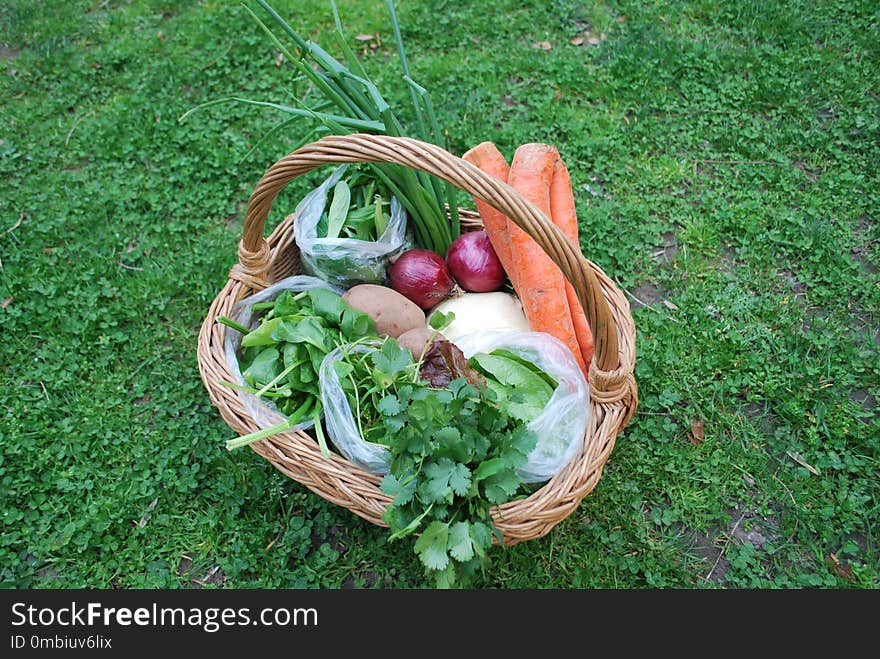 Vegetable, Natural Foods, Local Food, Produce