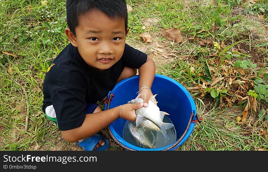 Vertebrate, Child, Boy, Play