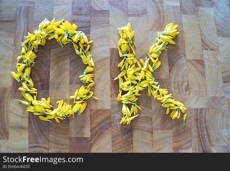 Yellow, Flower, Lei