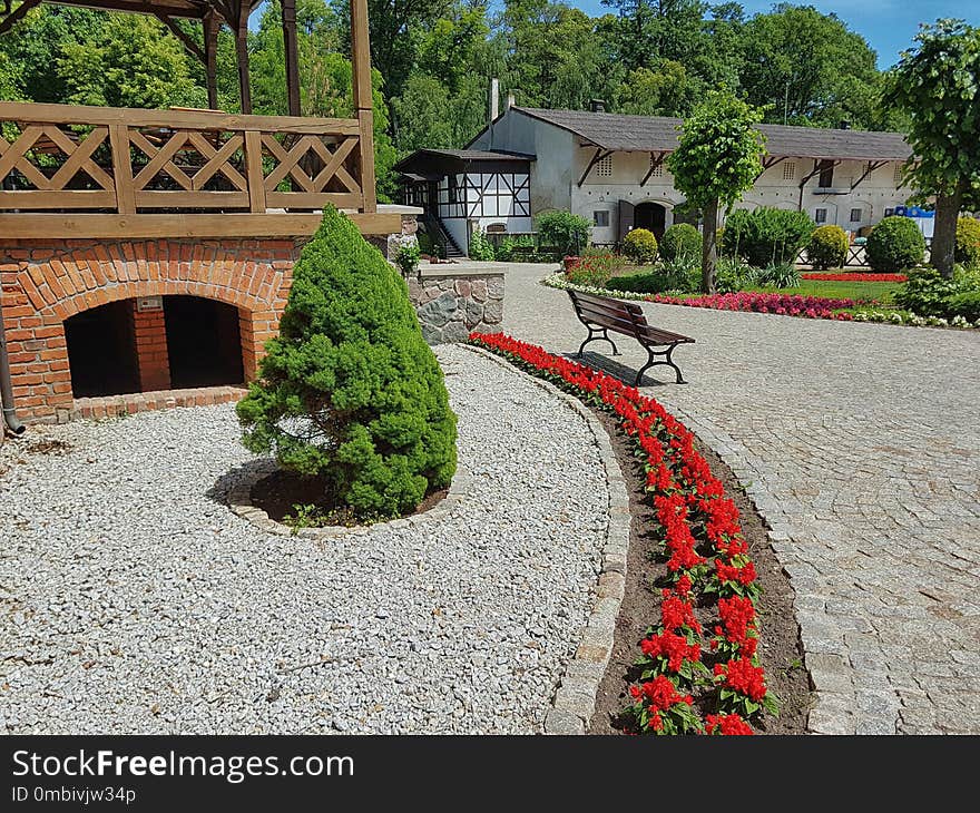 Plant, House, Path, Tree