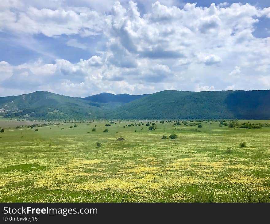 Grassland, Ecosystem, Plain, Pasture