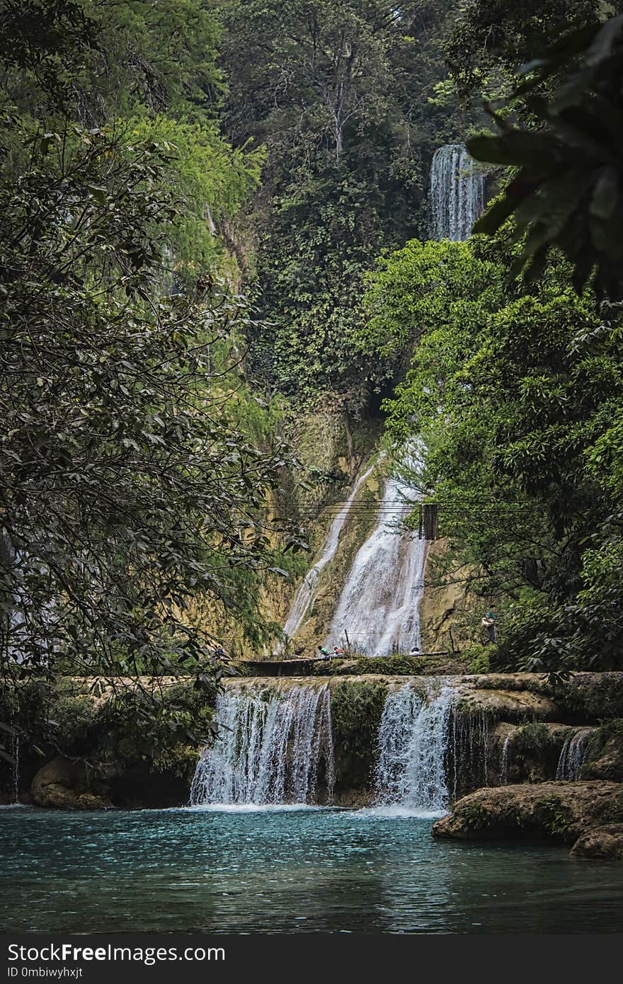 Waterfall, Water, Nature, Vegetation