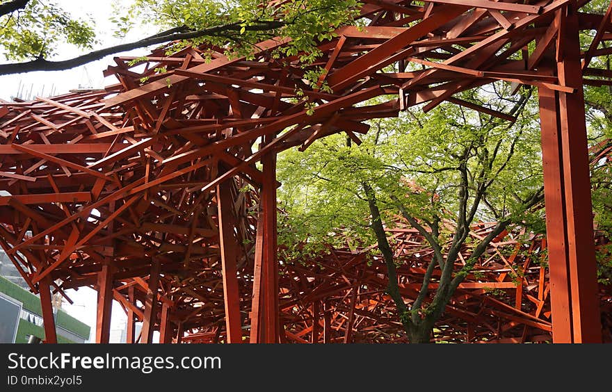 Tree, Structure, Pergola, Plant