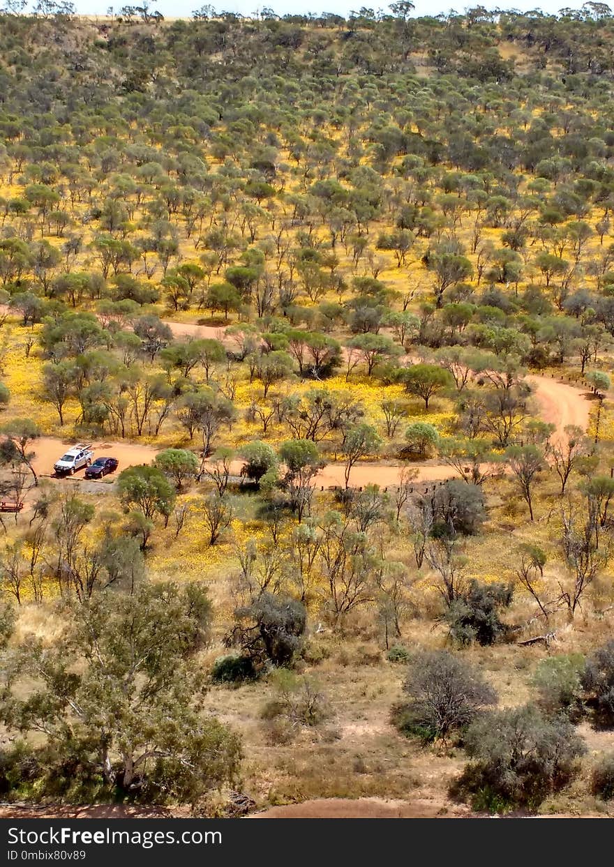 Ecosystem, Vegetation, Shrubland, Wilderness